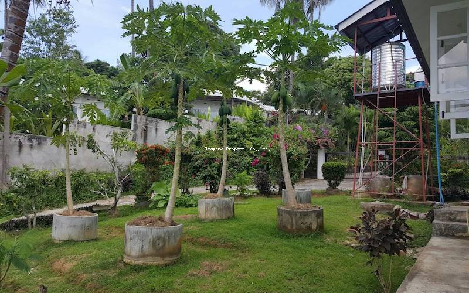 Imagine Phuket Property Investments