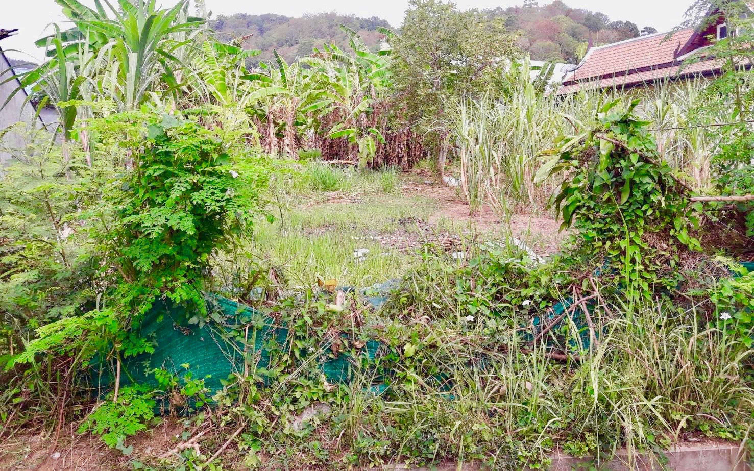 Imagine Phuket Property Investments
