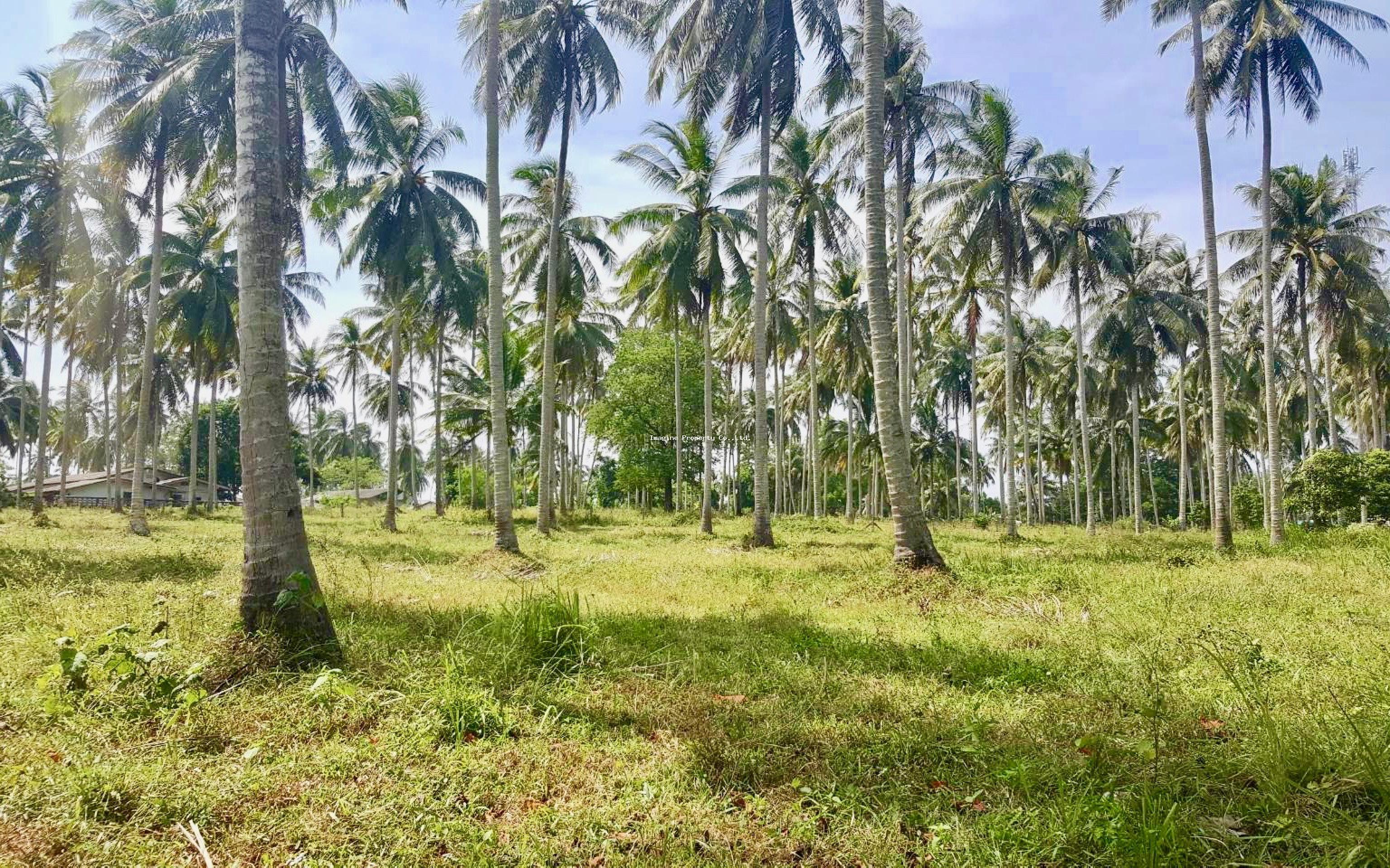 Imagine Phuket Property Investments